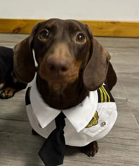 HKM-6837693 Dachshund Halloween Costume - Funny Captain & Pilot Outfits for Pets with Scarf Option