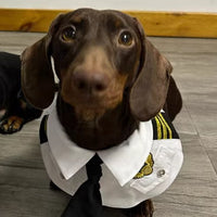 HKM-6837693 Dachshund Halloween Costume - Funny Captain & Pilot Outfits for Pets with Scarf Option