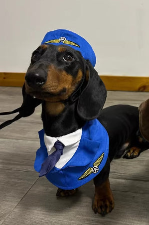 HKM-6837693 Dachshund Halloween Costume - Funny Captain & Pilot Outfits for Pets with Scarf Option