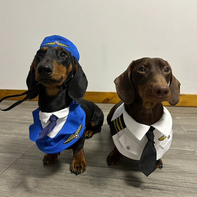 HKM-6837693 Dachshund Halloween Costume - Funny Captain & Pilot Outfits for Pets with Scarf Option