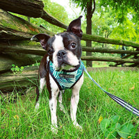 HKM-6837821 Small Dog Adjustable Polyester Chest Strap Harness for Comfortable Walking