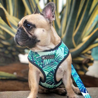 HKM-6837821 Small Dog Adjustable Polyester Chest Strap Harness for Comfortable Walking