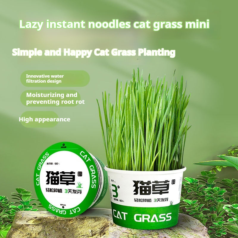 HKM-6843837 Hydroponic Cat Grass Instant Noodles - Digestive Snack with Plant Fiber and Vitamins
