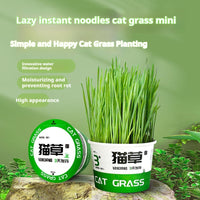 HKM-6843837 Hydroponic Cat Grass Instant Noodles - Digestive Snack with Plant Fiber and Vitamins