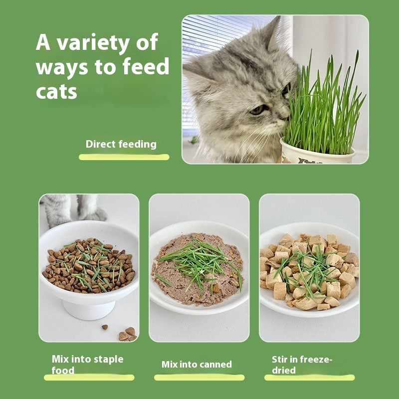 HKM-6843837 Hydroponic Cat Grass Instant Noodles - Digestive Snack with Plant Fiber and Vitamins