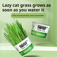 HKM-6843837 Hydroponic Cat Grass Instant Noodles - Digestive Snack with Plant Fiber and Vitamins