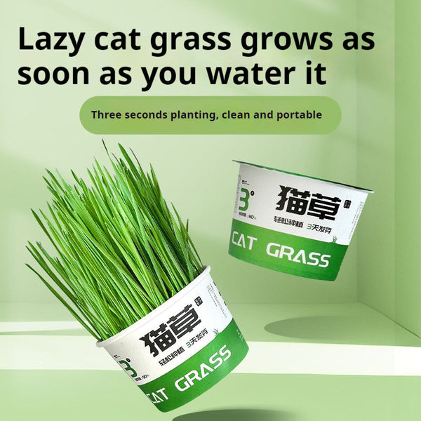 HKM-6843837 Hydroponic Cat Grass Instant Noodles - Digestive Snack with Plant Fiber and Vitamins