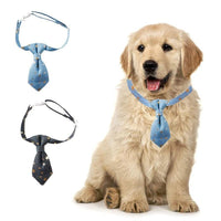 HKM-685011 Adjustable Designer Dog Collar with Golden Star Design for Small to Medium Dogs and Cats