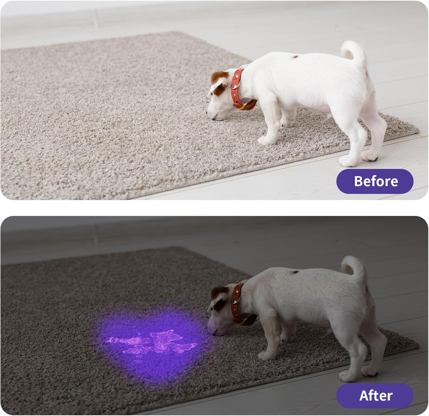 HKM-6856765 Mini LED UV Blacklight Flashlight for Detecting Pet Urine Stains, Bed Bugs, and Scorpions - Portable and Waterproof