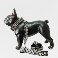 HKM-6859069 Durable Nylon Dog Leash with Collars and Adjustable Chest Straps for All Sizes