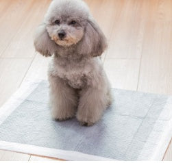 HKM-6866877 Pet Diapers - Non-Woven Material in Various Sizes (S, M, L, XL)