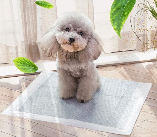 HKM-6866877 Pet Diapers - Non-Woven Material in Various Sizes (S, M, L, XL)