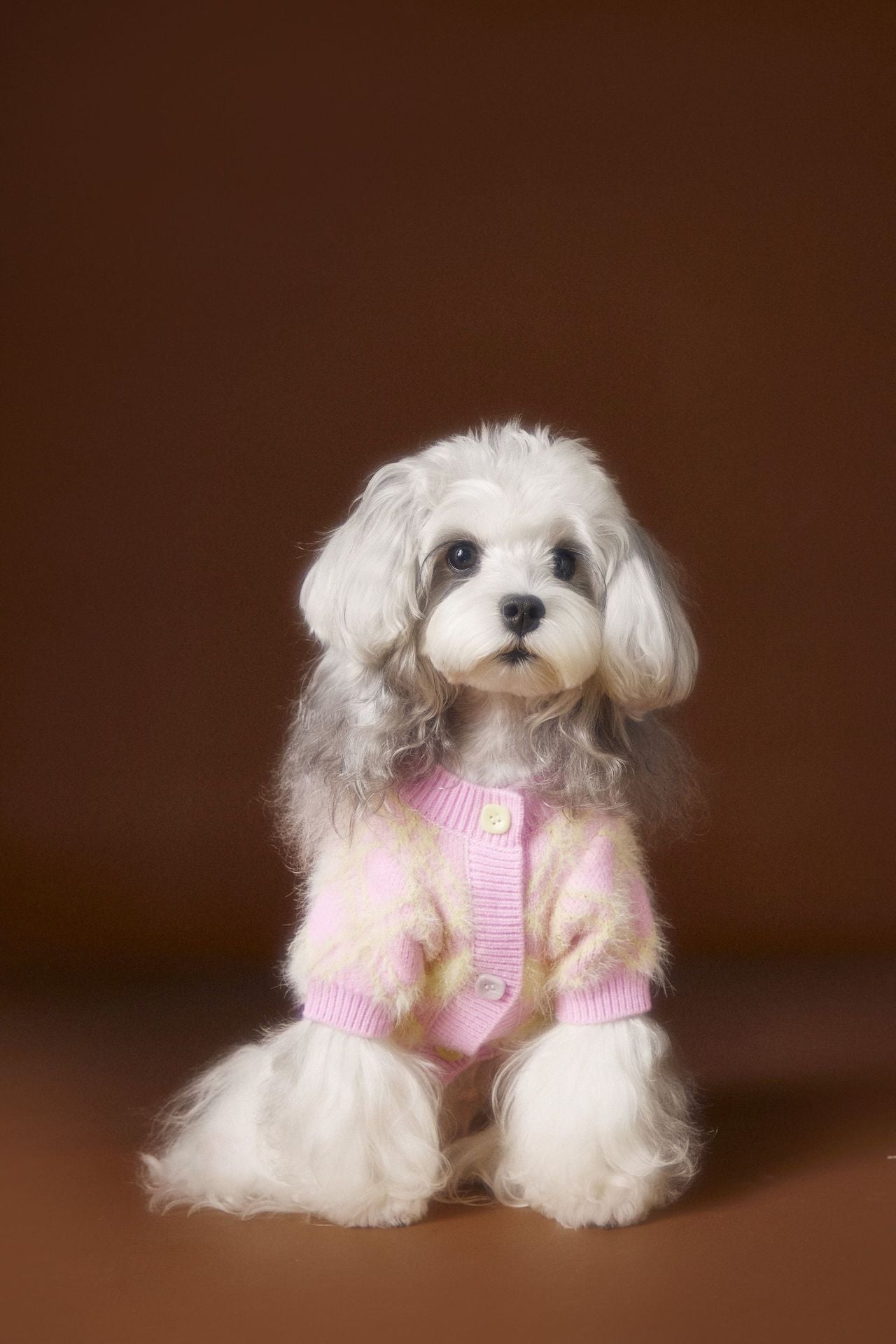 HKM-6869565 Schnauzer Teddy Bichon Casual Wool Cardigan Sweater for Pets