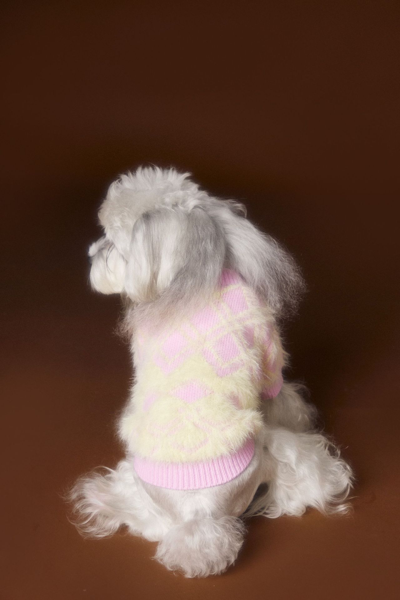HKM-6869565 Schnauzer Teddy Bichon Casual Wool Cardigan Sweater for Pets