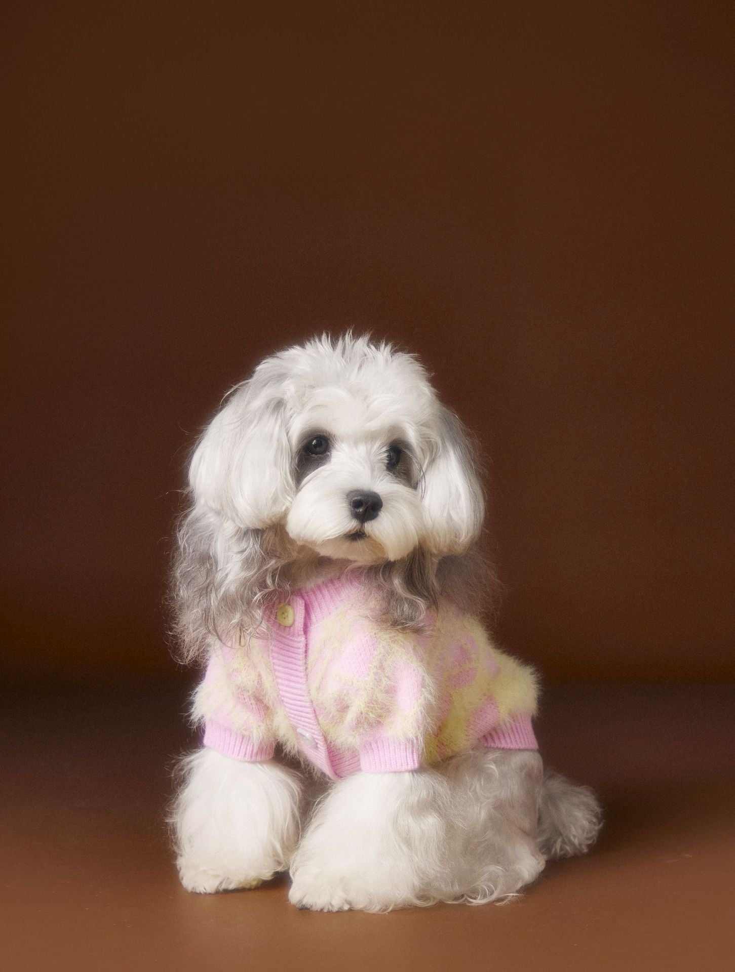 HKM-6869565 Schnauzer Teddy Bichon Casual Wool Cardigan Sweater for Pets