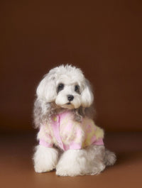 HKM-6869565 Schnauzer Teddy Bichon Casual Wool Cardigan Sweater for Pets