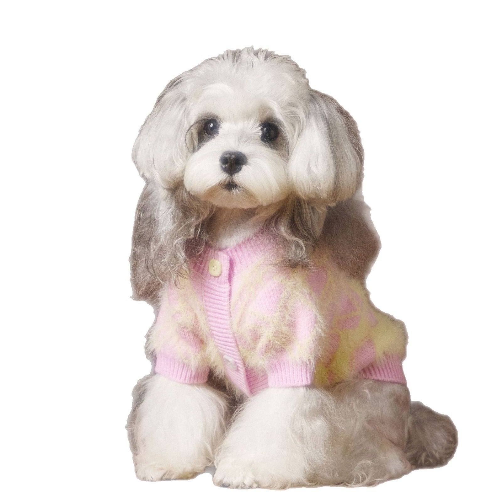 HKM-6869565 Schnauzer Teddy Bichon Casual Wool Cardigan Sweater for Pets