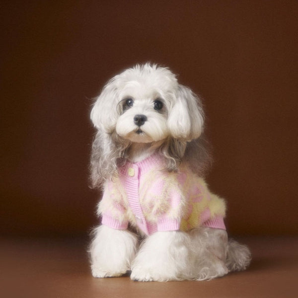 HKM-6869565 Schnauzer Teddy Bichon Casual Wool Cardigan Sweater for Pets