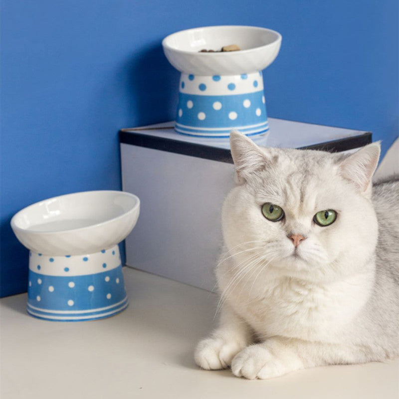 HKM-6870973 Tall Ceramic Polka Dot Cat Bowl Set - Blue and Pink Design, 2-Pack
