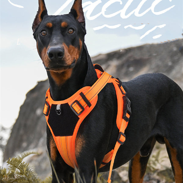 HKM-6873405 Durable Polyester Pet Harness with Anti-Breaking Hand-Hold Rope