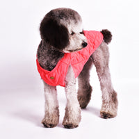 HKM-6877117 Casual Slim Fit Polyester Vest for Dogs in Red, Black, and Green