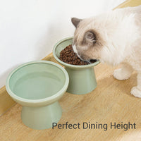 HKM-6878013 Elevated Ceramic Cat Food and Water Bowls, Whisker-Friendly Design, Lead and Cadmium Free