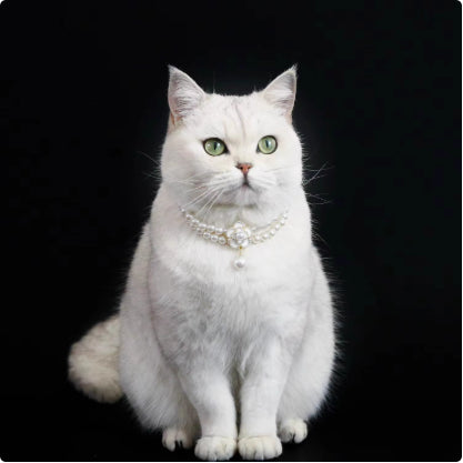 HKM-6879165 Elegant Cat Necklace with Water Drop Pendant in Assorted Styles and Sizes