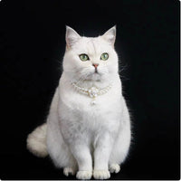HKM-6879165 Elegant Cat Necklace with Water Drop Pendant in Assorted Styles and Sizes
