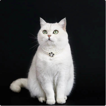 HKM-6879165 Elegant Cat Necklace with Water Drop Pendant in Assorted Styles and Sizes