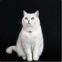 HKM-6879165 Elegant Cat Necklace with Water Drop Pendant in Assorted Styles and Sizes