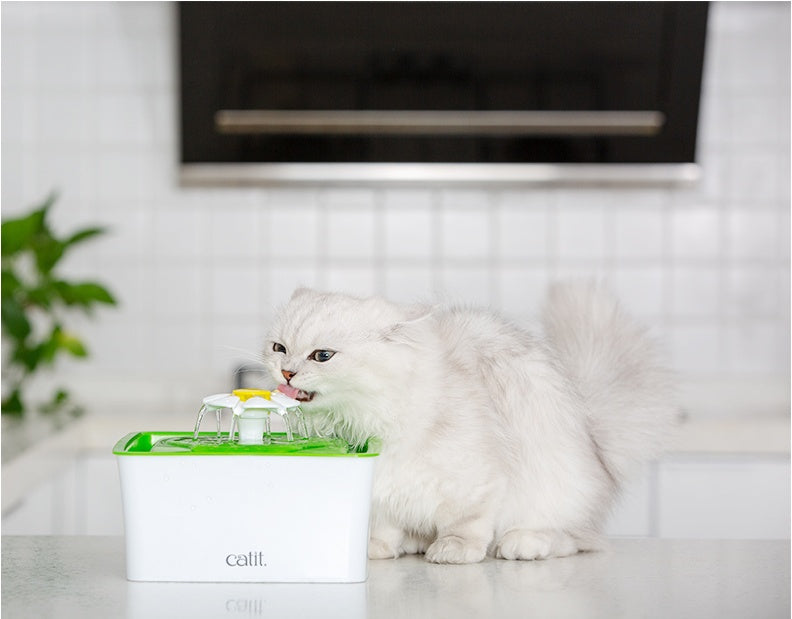 HKM-6888253 Cat Water Fountain with Dual Filtration System - Purifying, Oxygenating, and Flowing Water for Healthy Hydration