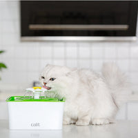 HKM-6888253 Cat Water Fountain with Dual Filtration System - Purifying, Oxygenating, and Flowing Water for Healthy Hydration