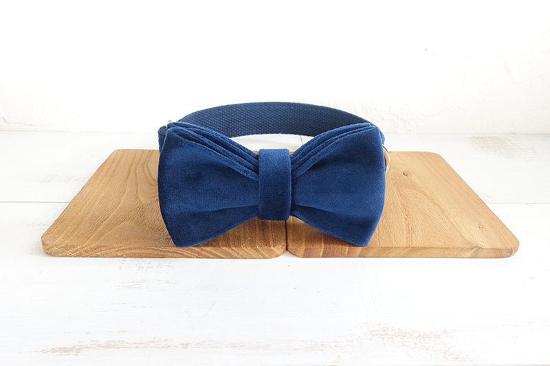 HKM-6893885 Navy Blue Velvet Bowknot Pet Collar with Leash for Small to Large Dogs