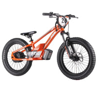 HKM-689491 Electric Balance Bike for Kids, 20-Inch, 36V 800W, Aluminum Alloy Frame, Hydraulic Disc Brake, 3-Speed Gear
