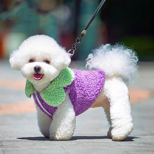 HKM-689747 Korean Style Coral Fleece Lotus Leaf Lace Dog Vest in Fruit Orange