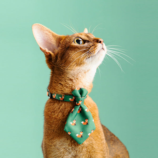 HKM-6899773 Adjustable Pet Neckties and Bowties for Cats, Polyester Accessories, Various Styles and Patterns