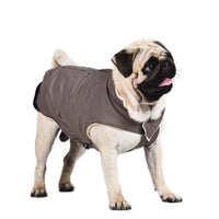 HKM-6901949 Cotton Vest for Dogs in Blue, Red, and Gray - Available in Sizes S to XXL