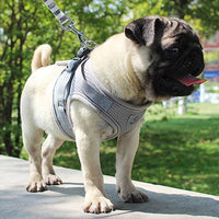 HKM-6903229 Reflective and Breathable Pet Harness for Dogs and Cats - Adjustable Sizes Available