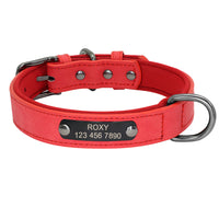 HKM-6905533 Engraved Neck Ring for Cats and Dogs - Personalized Identification Collar