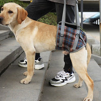 HKM-690579 Pet Rehabilitation Belt for Support and Assisted Walking - Adjustable Polyester Sling for Elderly Dogs