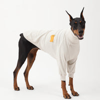 HKM-690643 Waffle Knit High Collar Sweater for Special Dog Breeds in Haze Blue, Off-White, and Brick Red
