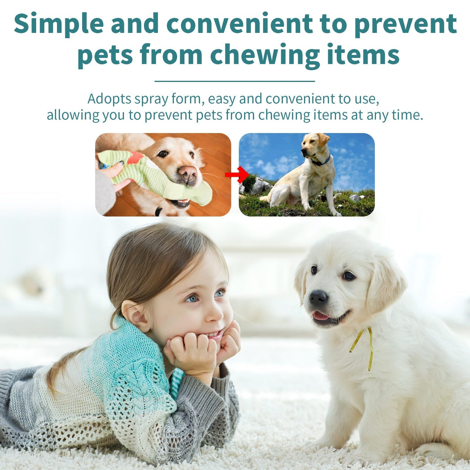 HKM-6908989 Pet Behavior Correction Chewing Spray for Cats and Dogs - 100ml
