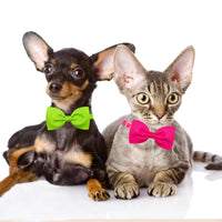 HKM-6911549 Adjustable Tie Bow for Cats and Dogs - Monochrome Colors for Every Season