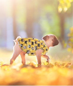 HKM-6915645 Cooling Vest for Small Dogs - Cute Pet Print T-Shirt in Yellow and Pink