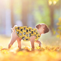 HKM-6915645 Cooling Vest for Small Dogs - Cute Pet Print T-Shirt in Yellow and Pink