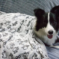 HKM-6915901 Cozy Flannel Pet Blanket with Gray Cut Flower Footprints