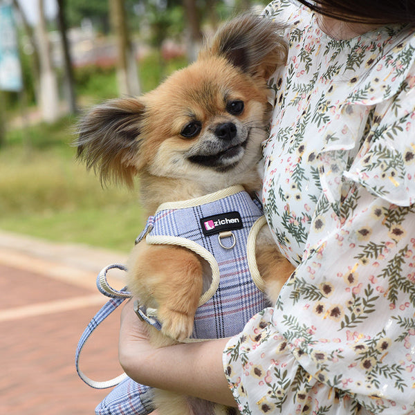 HKM-6918845 Sky Blue Checkered Chest Harness with Convenient Buckle Design for Pets