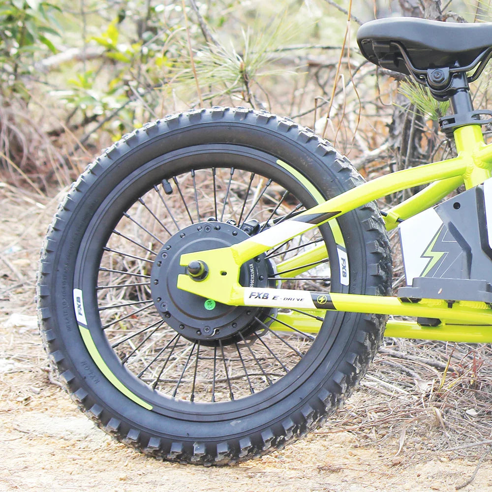 HKM-692947 16" Electric Balance Bike with 36V 250W Brushless Hub Motor and Integrated Lithium Battery for Kids