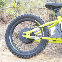 HKM-692947 16" Electric Balance Bike with 36V 250W Brushless Hub Motor and Integrated Lithium Battery for Kids