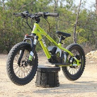 HKM-692947 16" Electric Balance Bike with 36V 250W Brushless Hub Motor and Integrated Lithium Battery for Kids